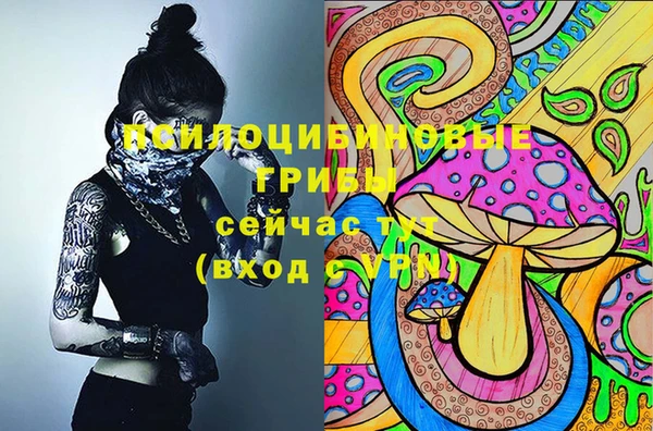 твердый Покачи