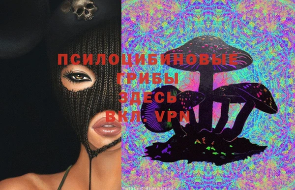 кокаин Белокуриха