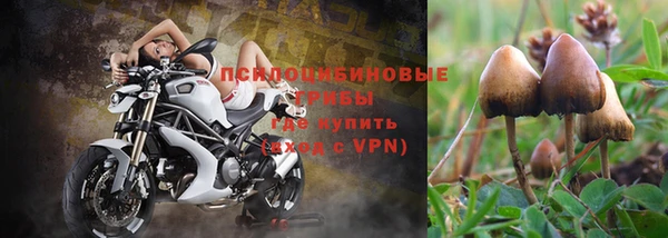 кокаин Белокуриха