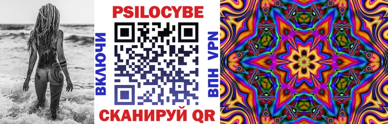мориарти клад  купить наркоту  Кириши  Галлюциногенные грибы MAGIC MUSHROOMS 